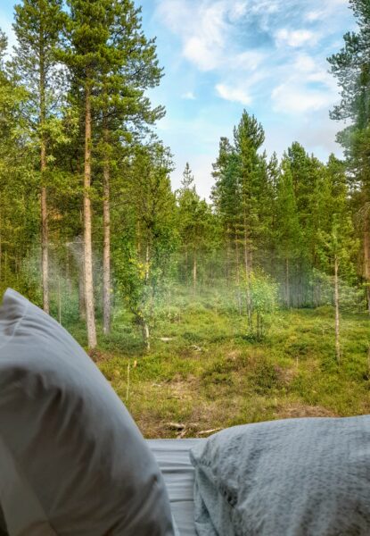 Uitzicht op het bos vanaf hotelkamer bij boutique hotel Trasti & Trine in Alta