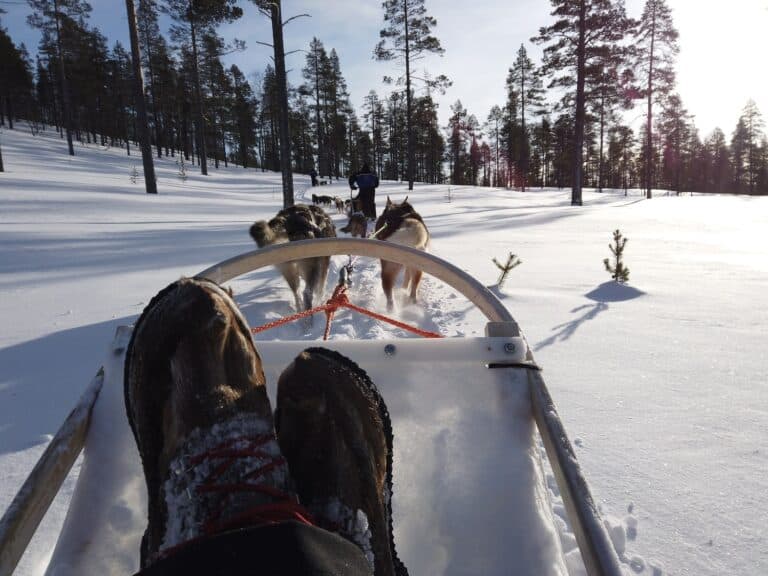 zicht vanuit zittend persoon tijdens huskysafari nabij aurora village