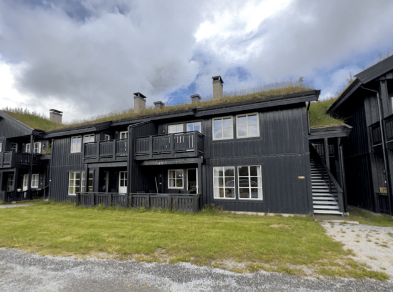 Donker geverfd exterieur van appartementen bij Beitostølen