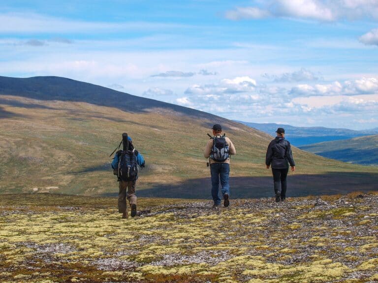 Drie wandelaars in Dovrefjell