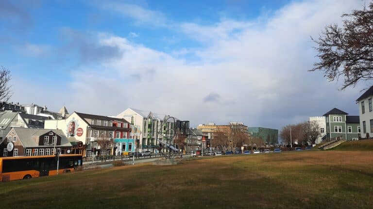 Reykjavík straat langs grasveld IJsland