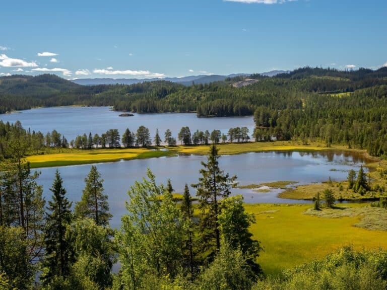 Een luchtfoto van twee meren omgeven door groene bossen en grasvelden in Rauland, Noorwegen