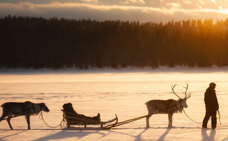 Rendier sledetocht nabij Torassieppi bij ondergaande zon