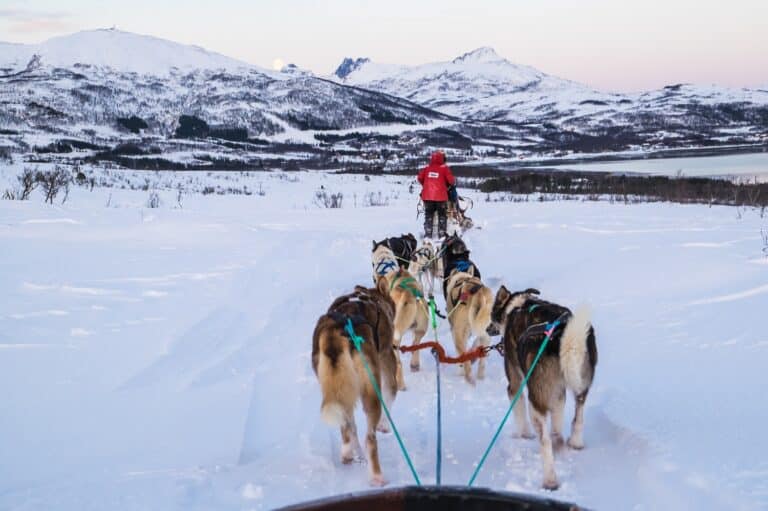 Een huskysafari in de besneeuwde natuur om Tromso