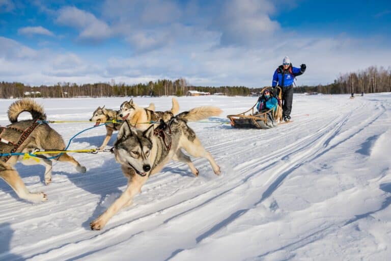 Husky's trekken slede over een bevroren meer in Fins Lapland