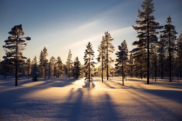 Zonsondergang tussen de bomen in Fins Lapland