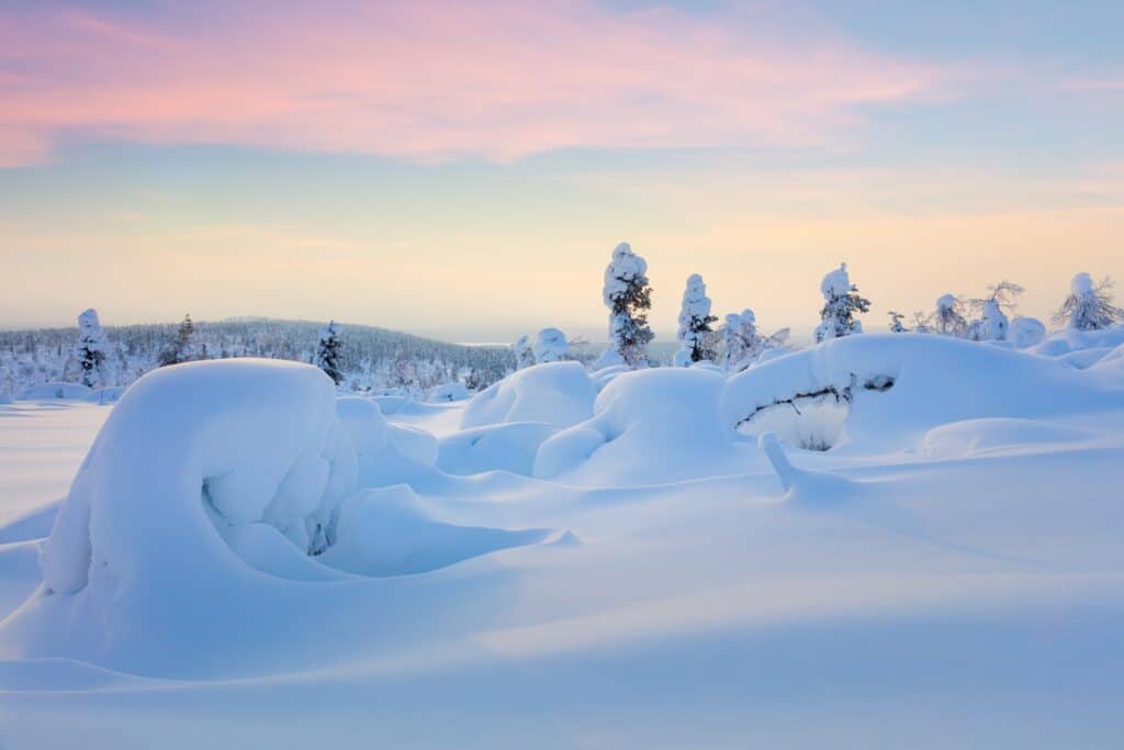 Besneeuwd landschap Lapland, roze lucht