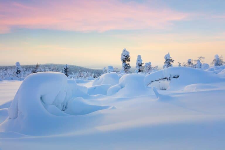Besneeuwd landschap in Fins Lapland.