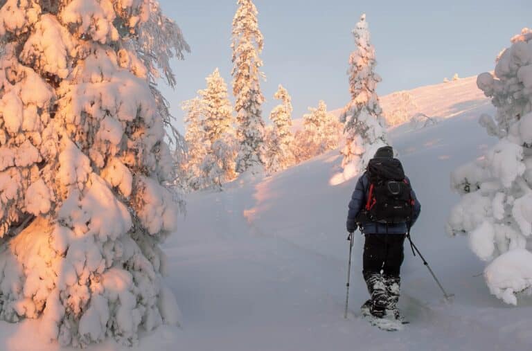 Man wandelt op sneeuwschoenen door bos in Fins Lapland