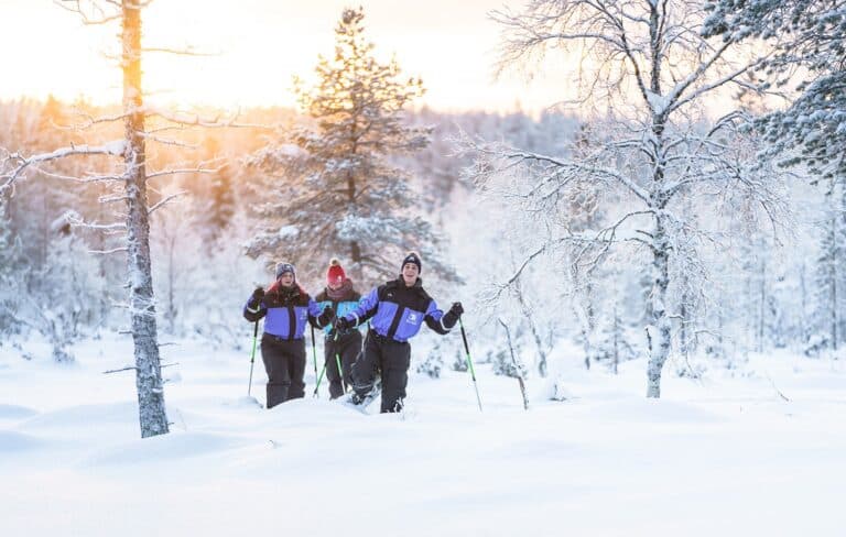 Sneeuwschoenwandeling in de besneeuwde bossen van Fins Lapland