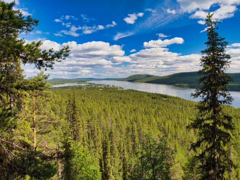 Zicht over bossen en rivier bij Kiruna in Zweden