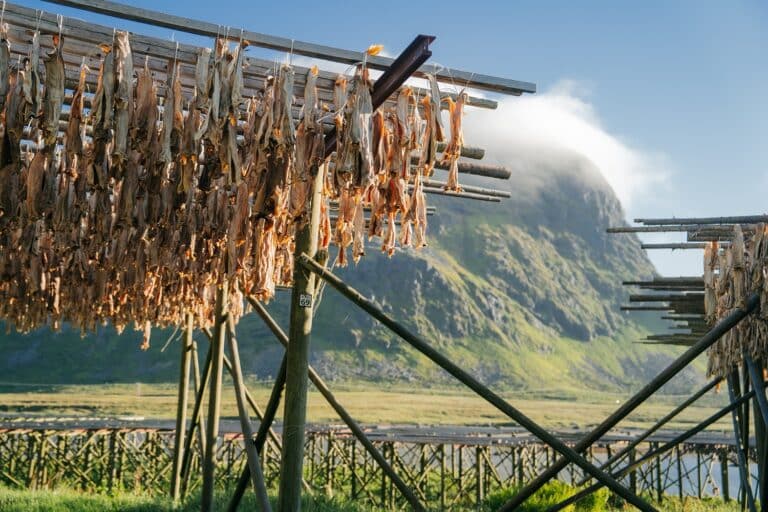 Gedroogde vis aan houten rekken op de Lofoten, in de buitenlucht