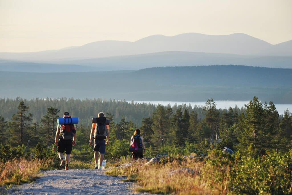 Drie wandelaars door de bossen van Finland