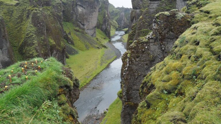 Fjardrargljufur kloof IJsland