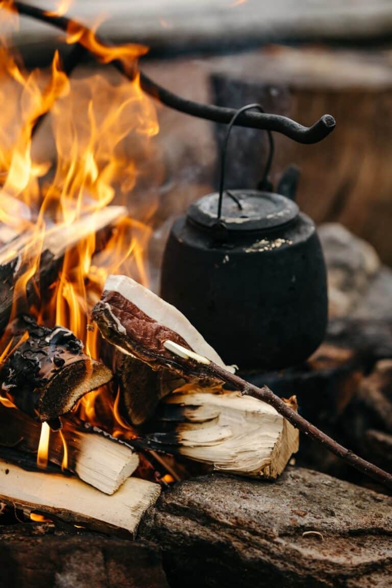 Kota lunch North Frontier