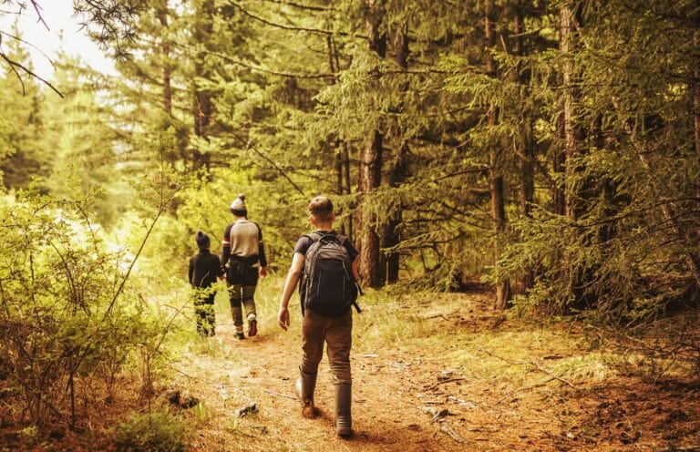 Gezin wandelend door groen zonnig bos