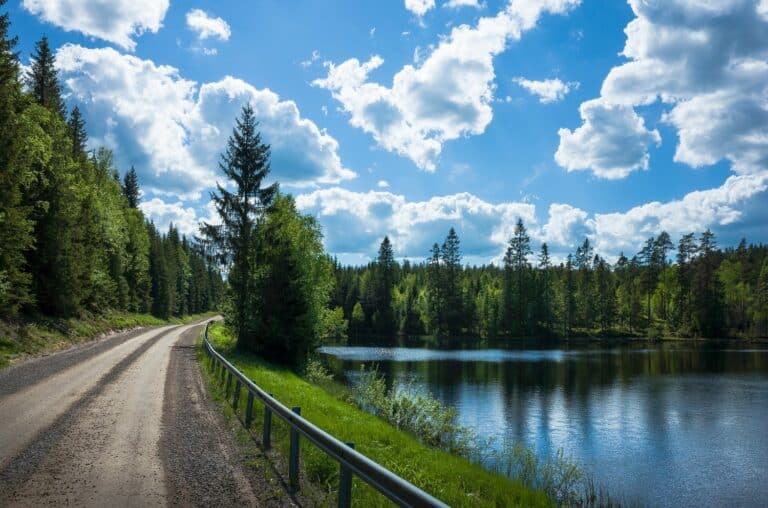 Onverharde landweg langs een meer en bos in Zweden