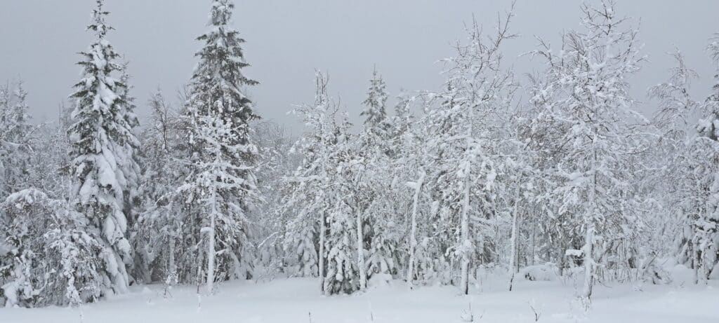 Heel veel sneeuw bij Ukkohalla