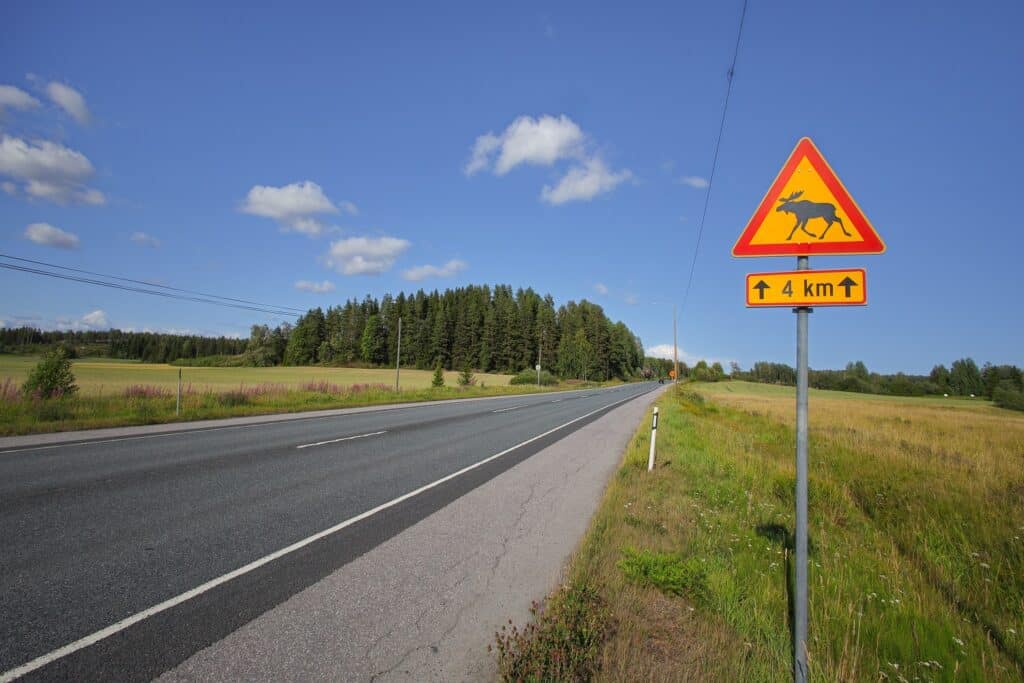 Verkeersbord overstekende elanden in Zweden