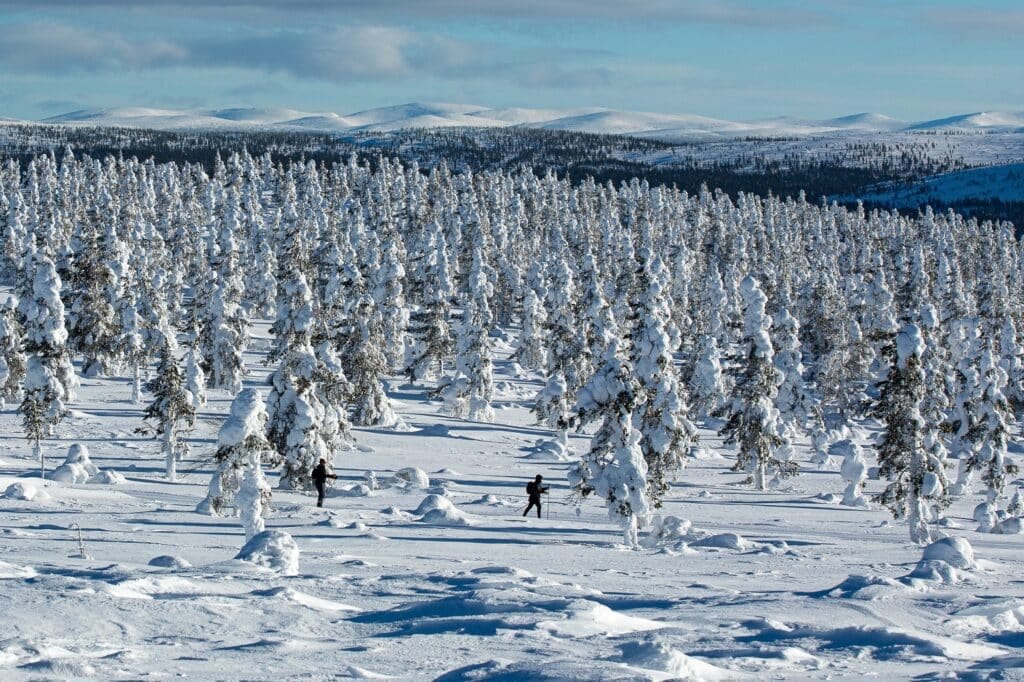 Wilderness Hotel Kieppi Langlaufen in sneeuwlandschap