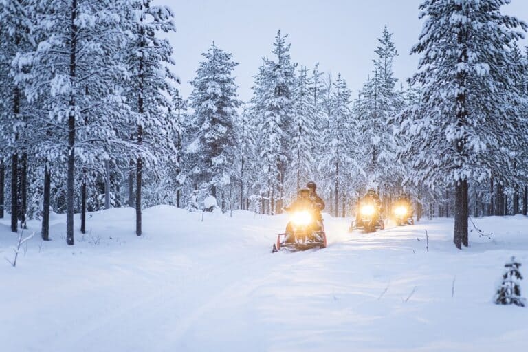 Sneeuwscootertocht in besneeuwde bossen van Zweeds Lapland