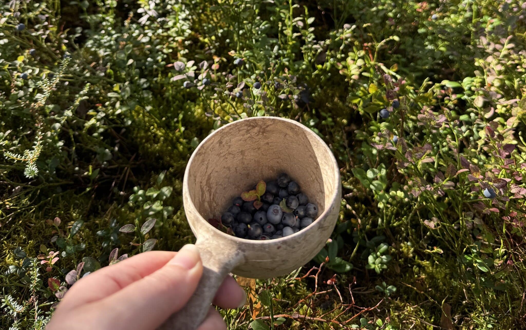 Een houten mok, tot de helft gevuld met bosbessen uit een Fins bos