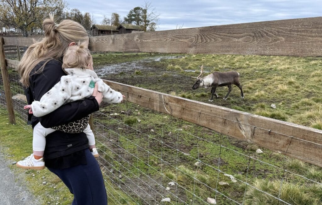 Vrouw en kind bekijken rendier in Langedrag Naturpark in Noorwegen.