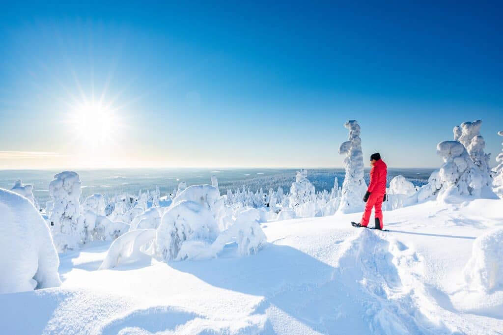 Sneeuwschoenwandelen nabij Iso-Syöte, Lapland, Finland