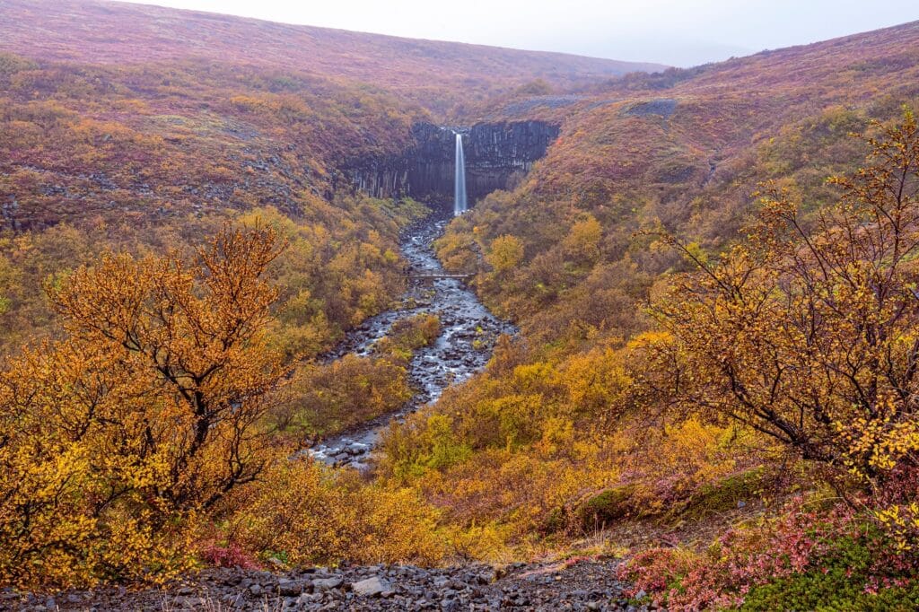 Svartifoss in Skaftafell National Park in de herfst