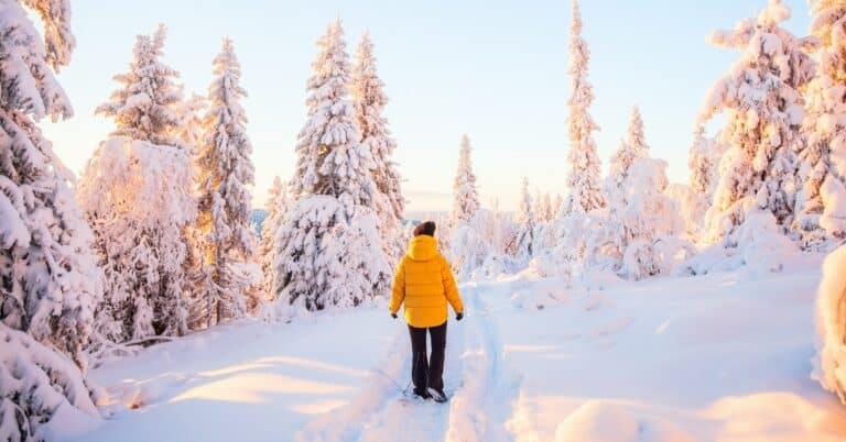 Vrouw loopt in besneeuwd bos in Lapland