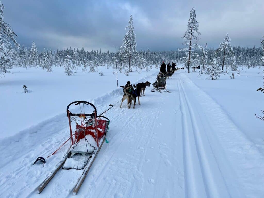 Hondenslee in de sneeuw tijdens huskytocht in Finland.