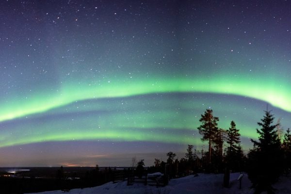 Noorderlicht boven bos Arctic Giant Lapland