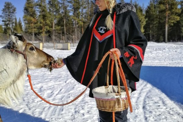 Rendier wordt gevoerd bij aurora village
