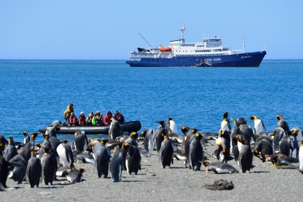 Expeditie schip de Plancius bij St Andrews Bay met koningspinguins Antarctica