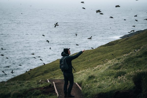 Man bij rots met papegaaiduikers Faeröer eilanden