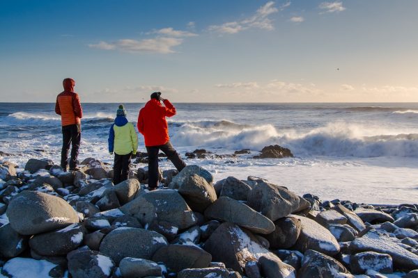 Familie bij ruige zee aan kust IJsland