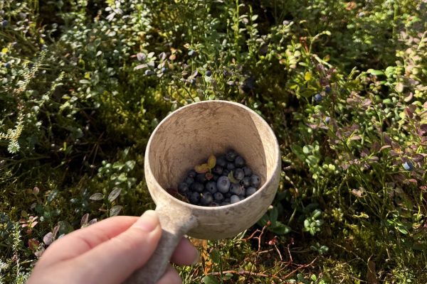 Een houten mok, tot de helft gevuld met bosbessen uit een Fins bos