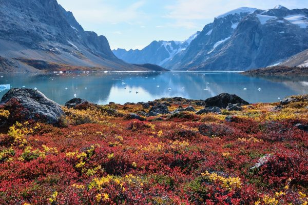 Reds,And,Yellows,Of,Autumn,Vegetation,In,The,Tundra,Near