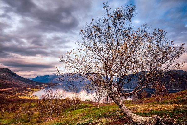 Herfst op eiland Uløya