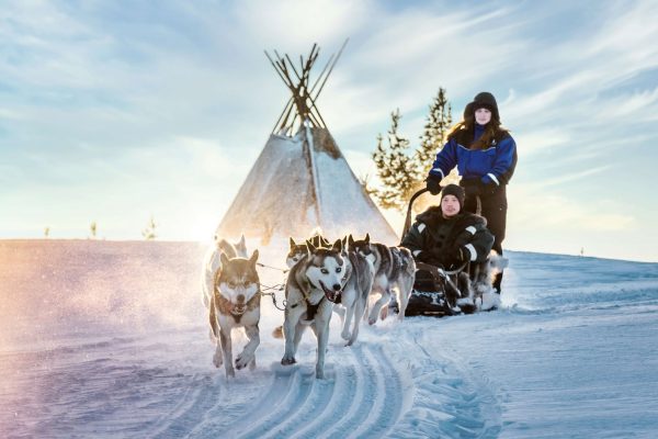 Husky safari nabij Star Arctic Hotel