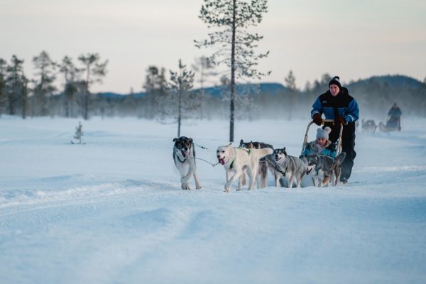 Huskysafari met meerdere husky bij wildernesshotel
