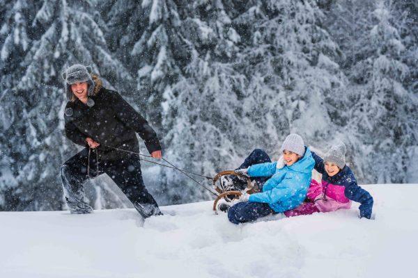 Happy,Family,Having,Fun,On,Winter,Sleigh,Ride.,Father,Takes