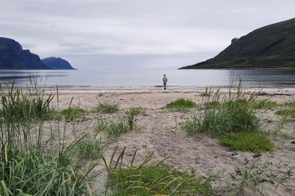 Strand, zee en bergen in Helgeland, Noorwegen