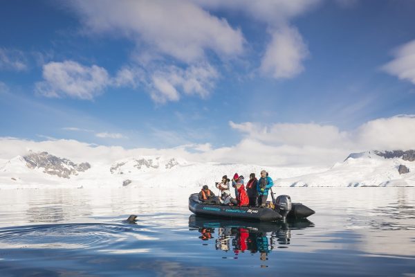 Peninsula Antarctica Foyn Harbour