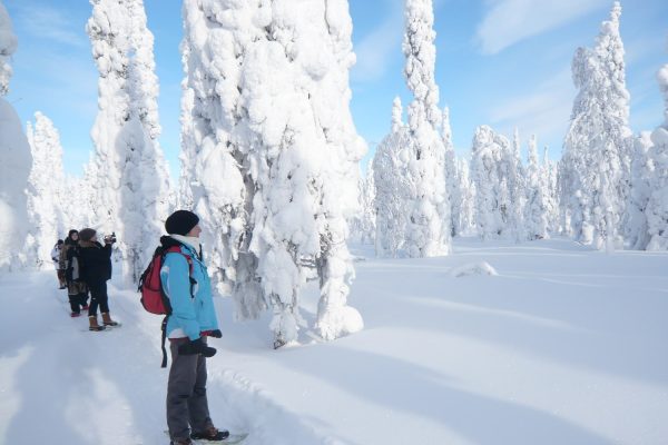 Sneeuwschoenwandelen bij Nature Point Paljakka, Finland