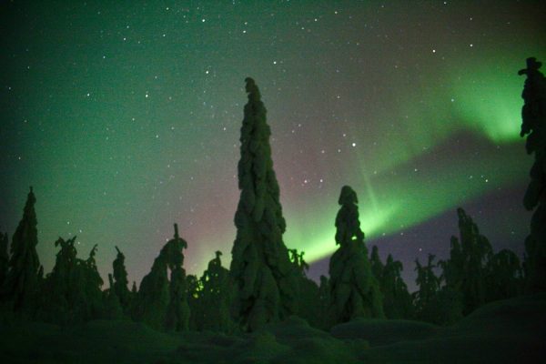 Noorderlicht bij Ukkohalla met bomen