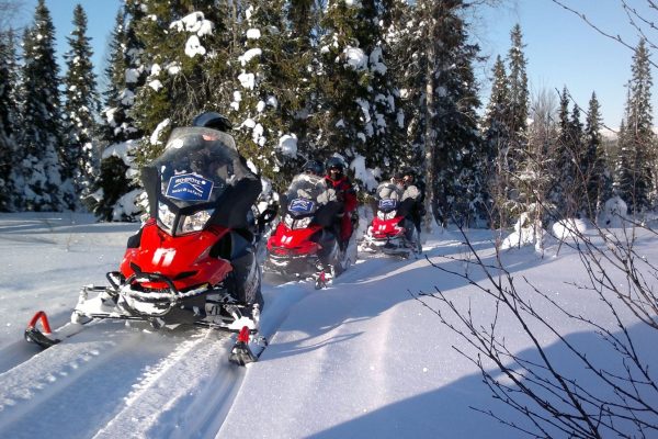 Snowmobile safari nabij Iso Syöte