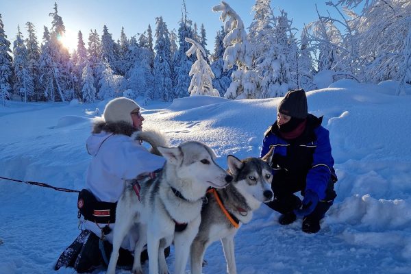 Uitleg voor husky safari Ukkohalla