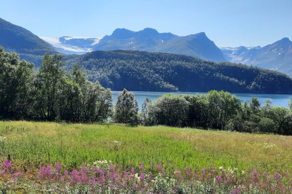 Uitzicht op Svartisen gletsjer, Helgeland Noorwegen