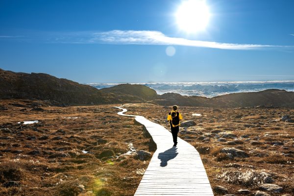 The,Landscape,Of,Greenland,During,Summer,,The,Photo,Was,Taken